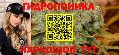 МДПВ Рыбинск
